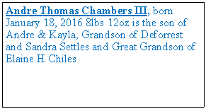 Text Box: Andre Thomas Chambers III, born January 18, 2016 8lbs 12oz is the son of Andre & Kayla, Grandson of Deforrest and Sandra Settles and Great Grandson of Elaine H Chiles