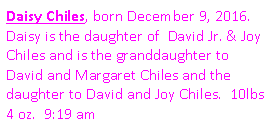 Text Box: Daisy Chiles, born December 9, 2016.  Daisy is the daughter of  David Jr. & Joy Chiles and is the granddaughter to David and Margaret Chiles and the daughter to David and Joy Chiles.  10lbs 4 oz.  9:19 am